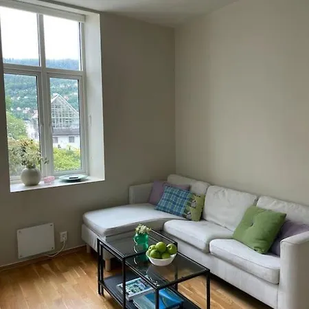 Appartement Modern With Panoramic View In Bergen